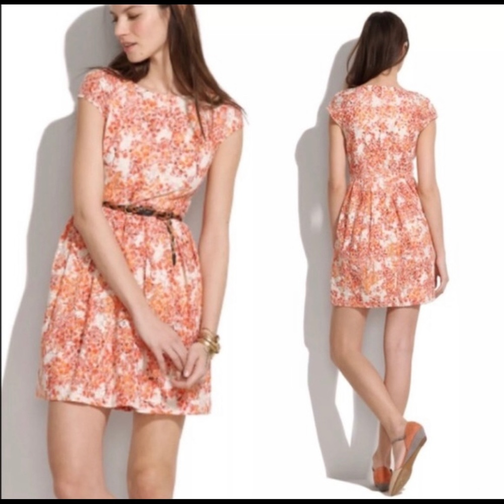 Madewell Lacebloom Floral fit and flare dress